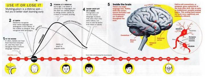 993359_143387325869835_1101985329_n